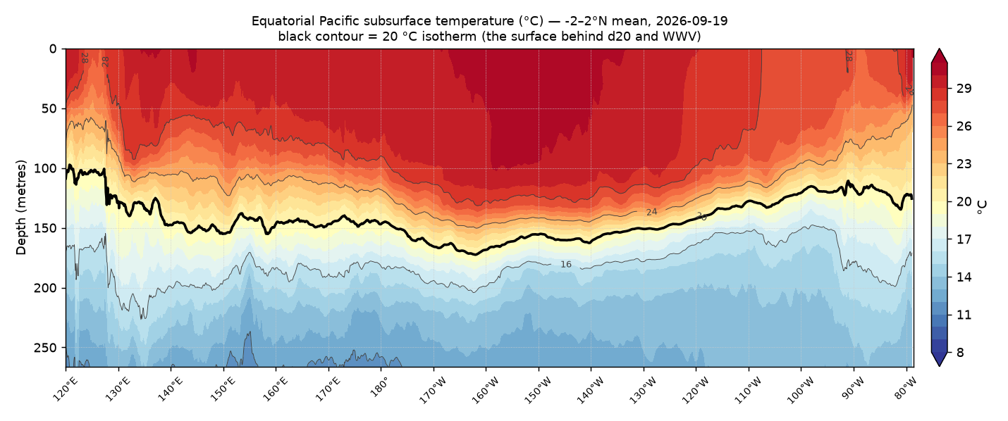 Subsurface temperature section